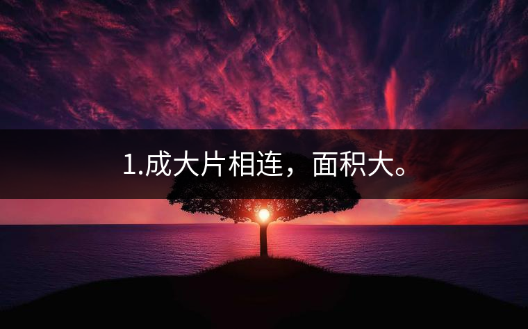 1.成大片相連，面積大。