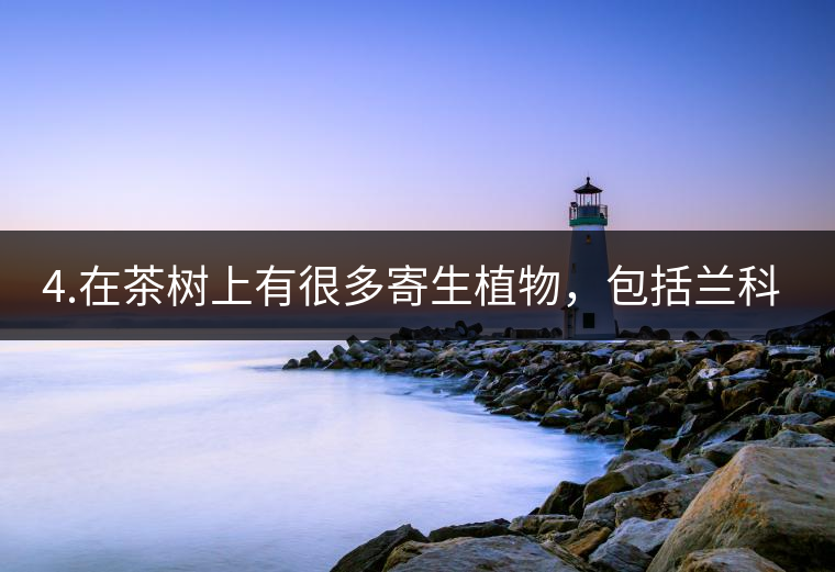 4.在茶樹(shù)上有很多寄生植物，包括蘭科植物，還有螃蟹腳。