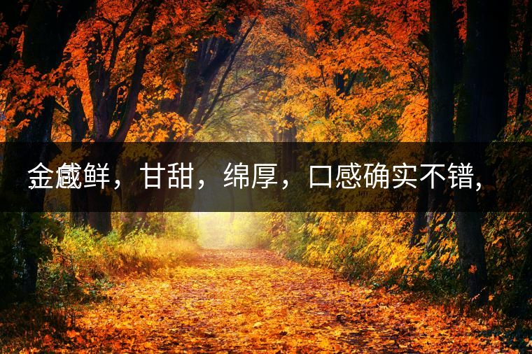 金色
，咸鮮，甘甜，綿厚，口感確實(shí)不鐠,還有上升空間。