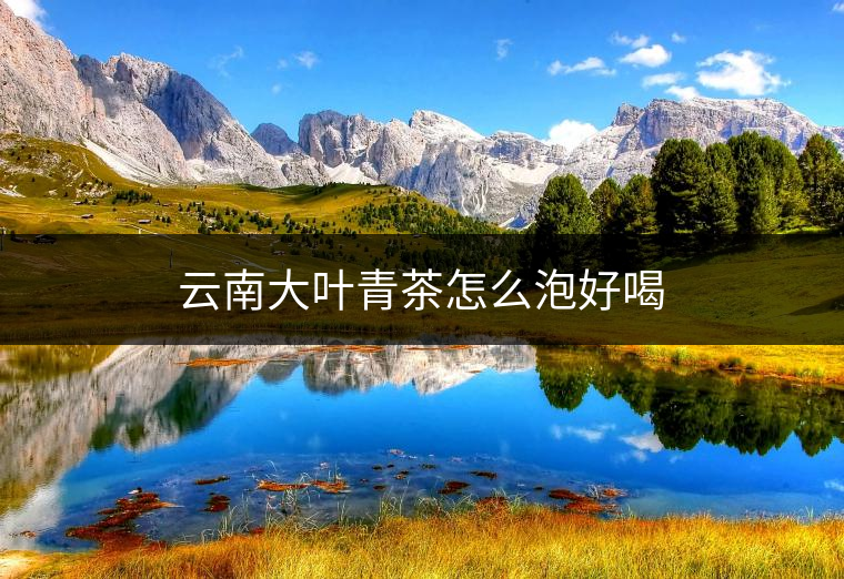 云南大葉青茶怎么泡好喝