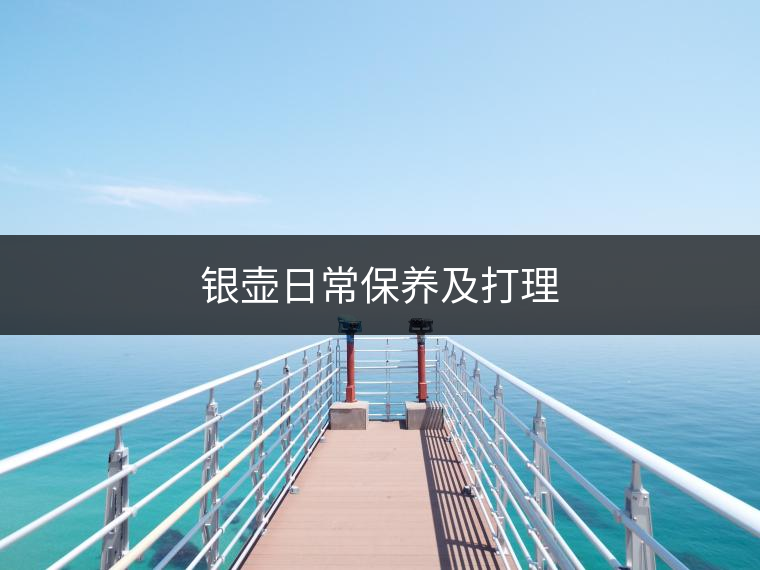 銀壺日常保養(yǎng)及打理 銀壺日常保養(yǎng)及打理