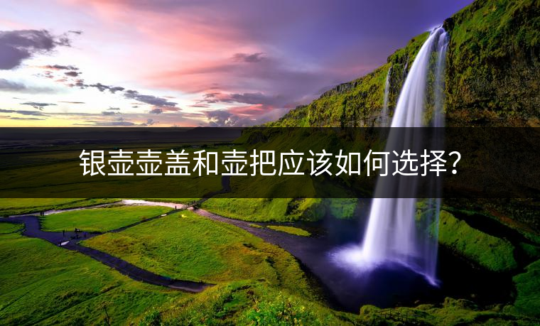 銀壺壺蓋和壺把應該如何選擇？
