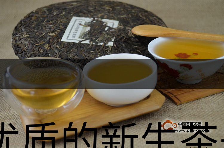 優(yōu)質(zhì)的新生茶是什么樣的？-1