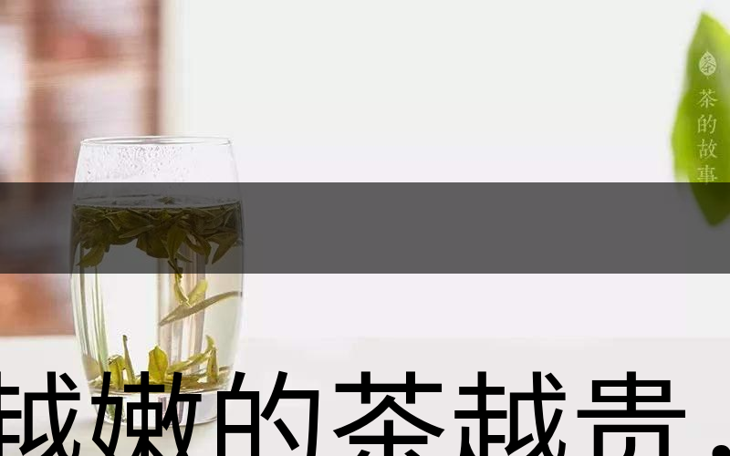 越嫩的茶越貴，但越貴的茶就越好嗎？-2