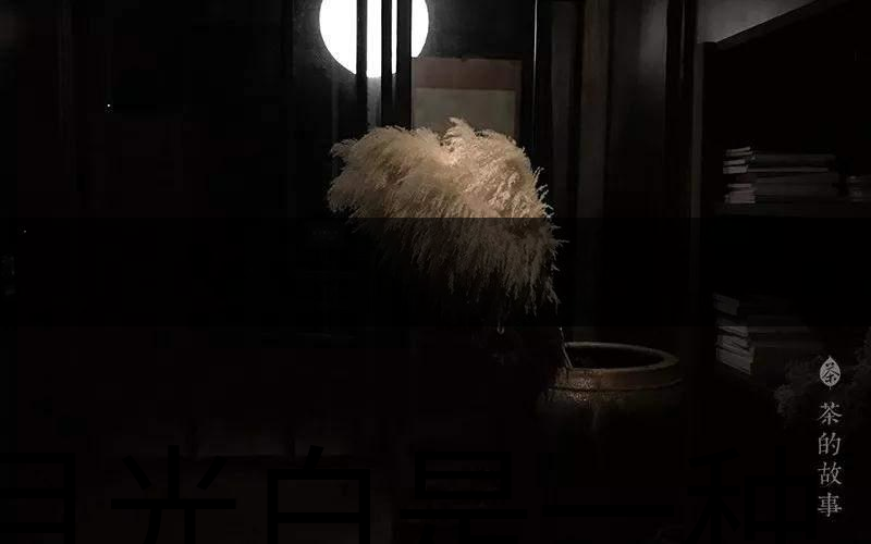 月光白是一種什么茶？