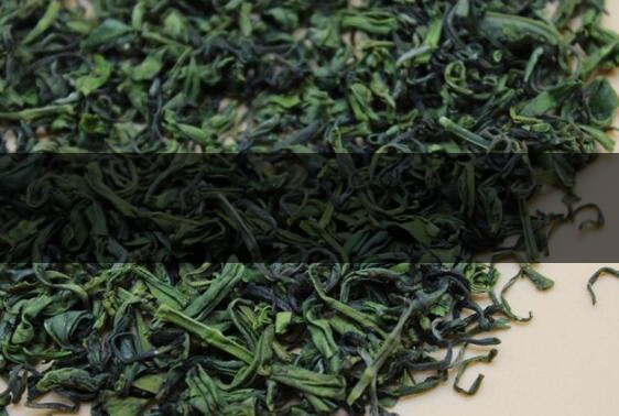 浙江雪青茶是什么茶-浙江雪青茶怎么泡好喝