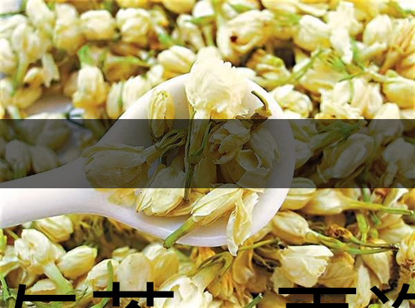 花與茶，再造茉莉之都——福州-1
