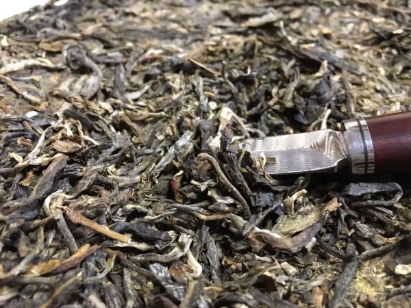 怎么樣泡好落水洞普洱茶？