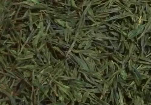 什么是海青茶？沖泡手法詳細(xì)教學(xué)！