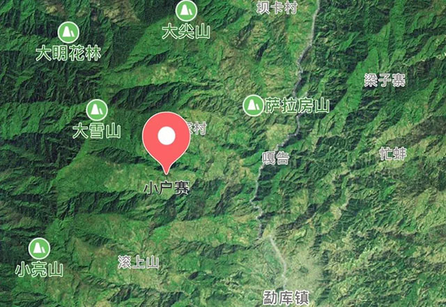 2021年小戶賽古樹(shù)秋茶有什么特點(diǎn)？