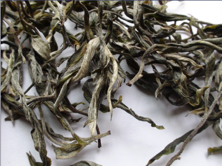 2021年馬鞍山古樹秋茶價格？