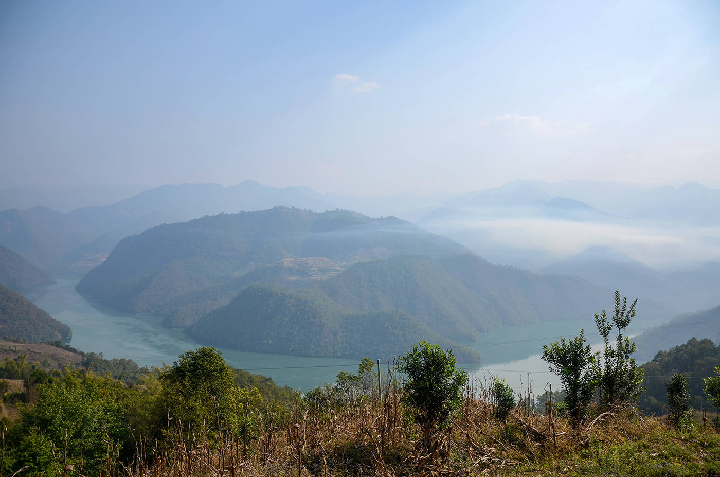 2021年白鶯山古樹秋茶，佛茶有什么魅力？