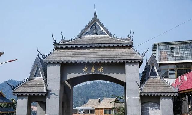 2021年老曼峨古樹秋茶特點？