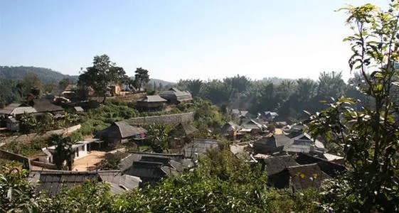 2021年班章茶區(qū)壩卡竜古樹(shù)秋茶多少錢(qián)一公斤？