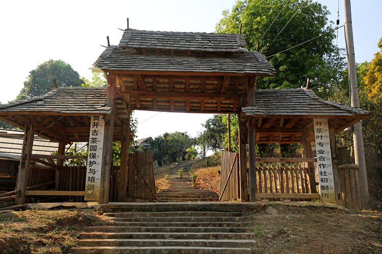 2021年賀開古樹秋茶特點(diǎn)？