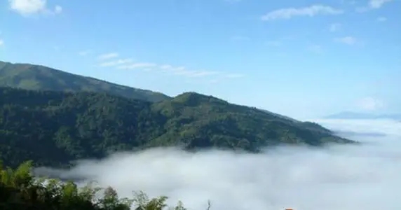 2021年滑竹梁子古樹(shù)品鑒實(shí)錄？