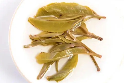 2021年南糯山拔瑪老寨古樹秋茶多少錢一公斤？