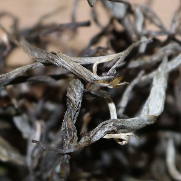 2021年帕沙古樹秋茶，你了解多少？