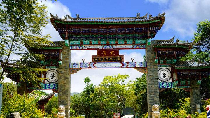 2022年易武正山在哪？易武正山是什么意思？