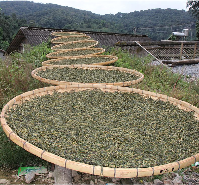 2022年白沙河古樹春茶價格？