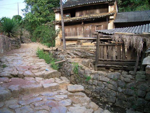 2022年蠻磚古樹(shù)春茶特點(diǎn)？