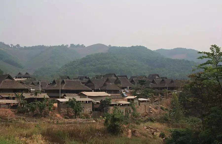 2022年革登古樹春茶特點(diǎn)？