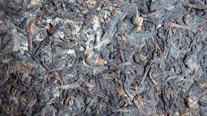 普洱茶怎么樣才算發(fā)霉？