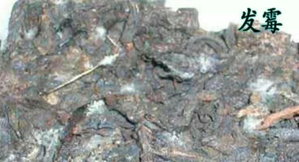 普洱茶受潮怎么處理？