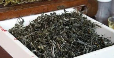 云南普洱茶怎么發(fā)展?