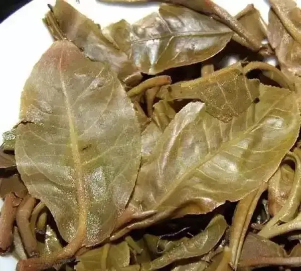 怎么看古樹(shù)普洱茶葉底？
