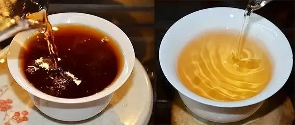 普洱茶湯怎么也會“出油”？