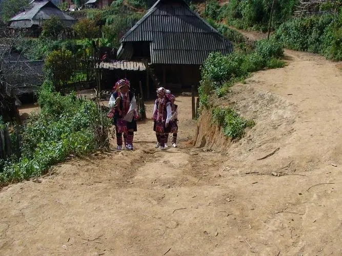 2022年的春天，古樹味道從犀牛塘開始！