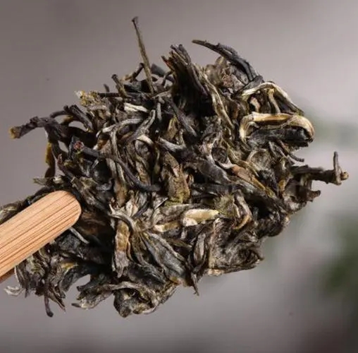 茶無貴賤！這些不知名的山頭，其實也產優(yōu)質普洱茶！