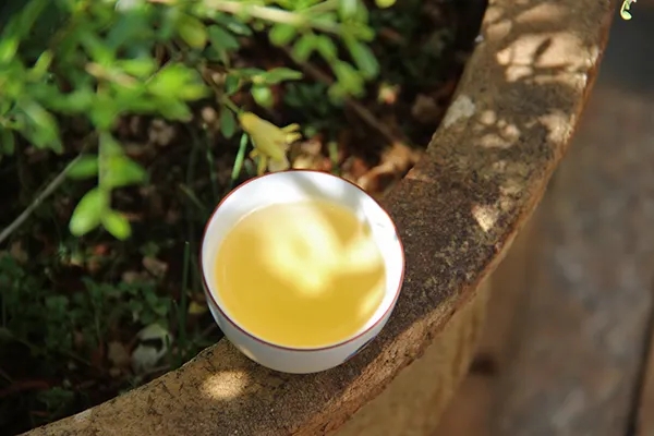 普洱茶越苦澀就代表品質越好嗎？