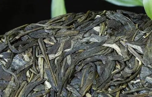 喝普洱茶，一定要喝老茶嗎？
