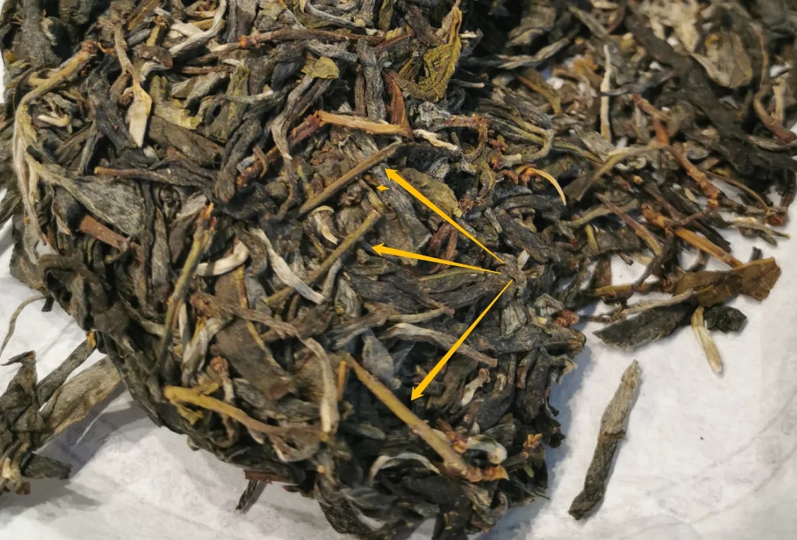 普洱茶的葉底有茶梗，就是茶不好嗎？