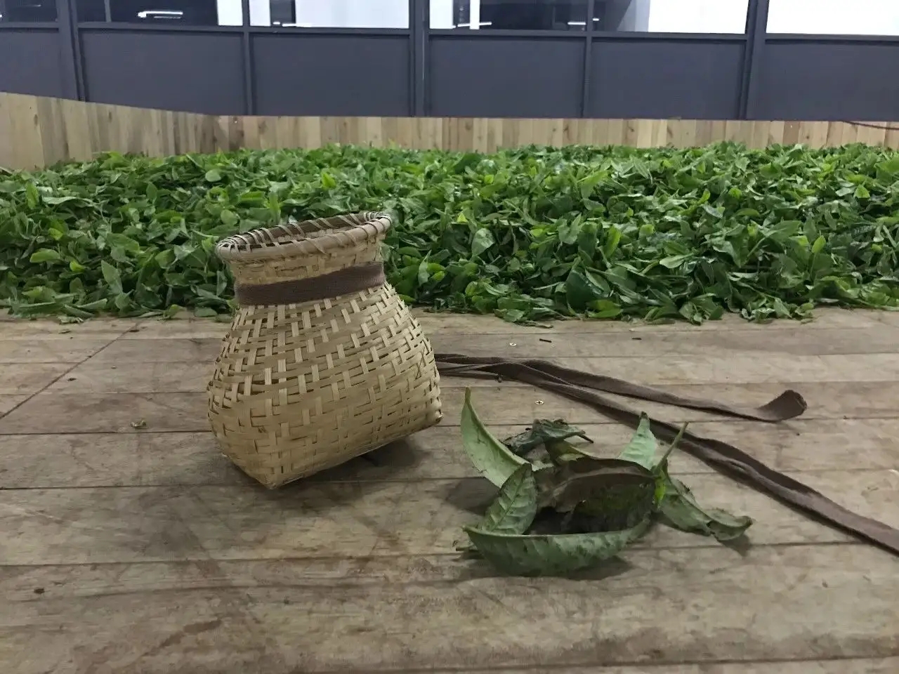 普洱茶，如果不談山頭，我們談什么？