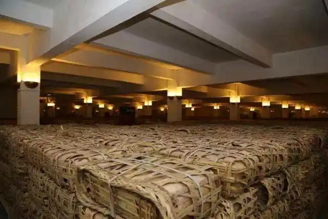 云南古樹(shù)普洱茶好在哪？相比小樹(shù)茶、臺(tái)地茶有何不同？