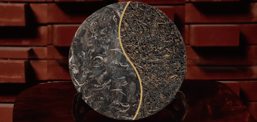 一入普門深似海？入普洱門前，你需要了解這些