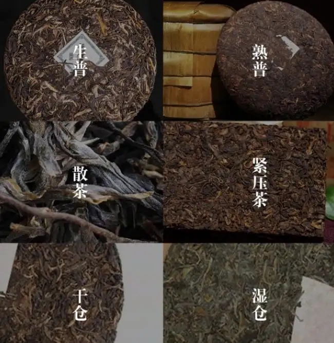 普洱茶不是越陳越香嗎？怎么也有最佳品飲期？