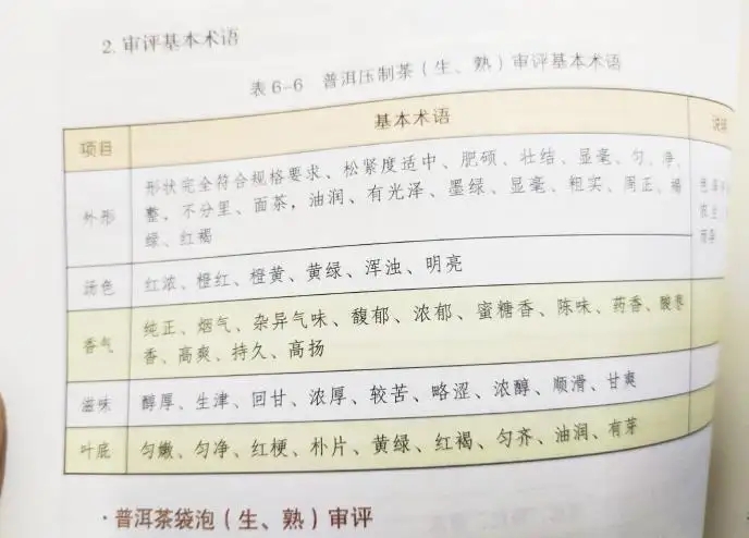 活學活用 ，一學就會的普洱茶口感術語