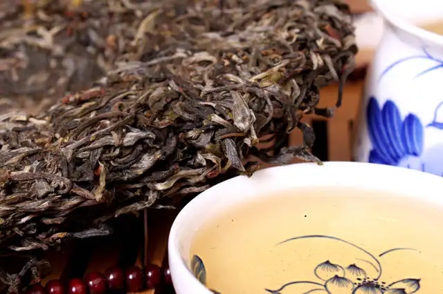 喝普洱茶，生茶和熟茶哪個更適合你？