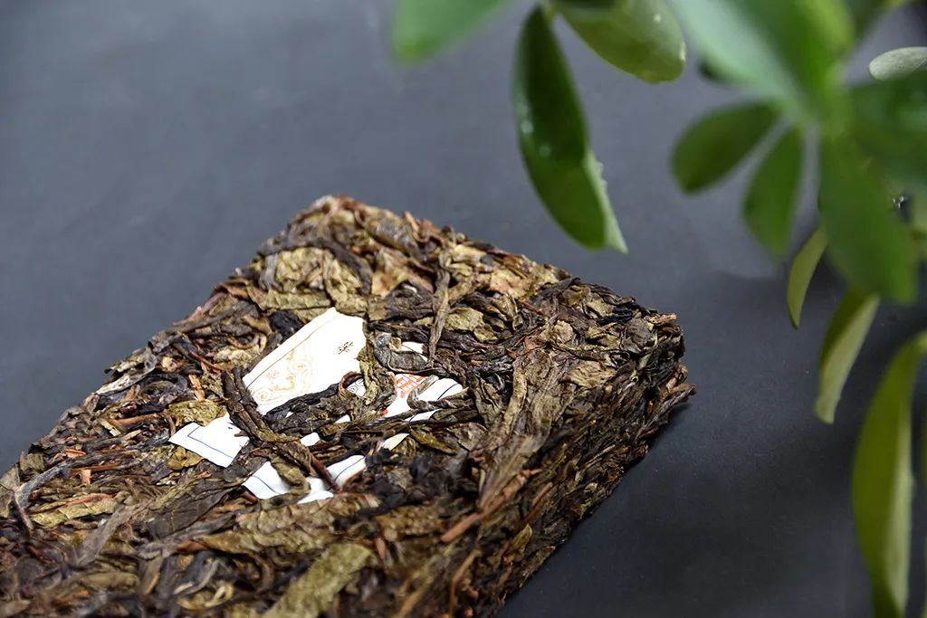 普洱茶古樹(shù)黃片，性價(jià)比超高的口糧茶，有骨有肉香甜順