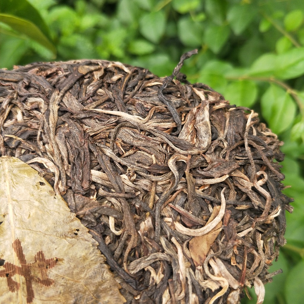 2023年班盆古樹春茶多少錢一公斤？