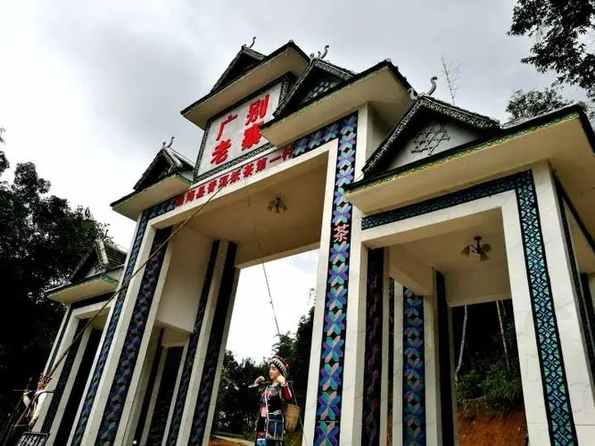 2023年廣別老寨古樹春茶品質(zhì)如何？