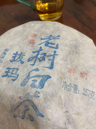 2023年拔瑪老寨古樹春茶口感如何？