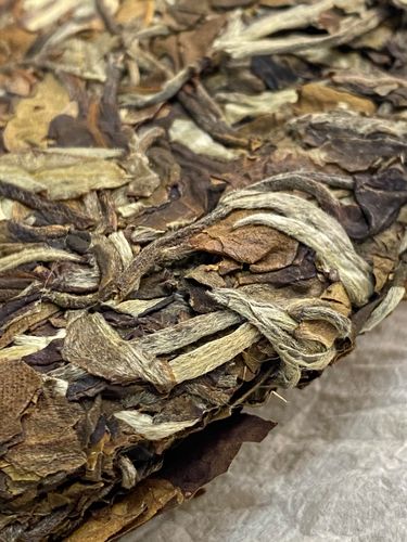 2023年拔瑪老寨古樹春茶特點是什么？