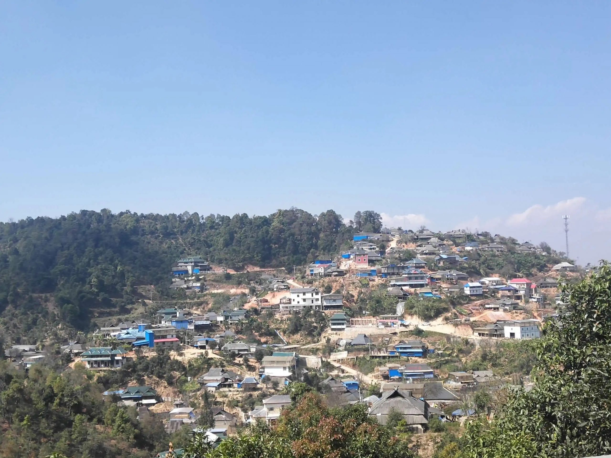 2023年帕沙古樹春茶品質(zhì)如何？