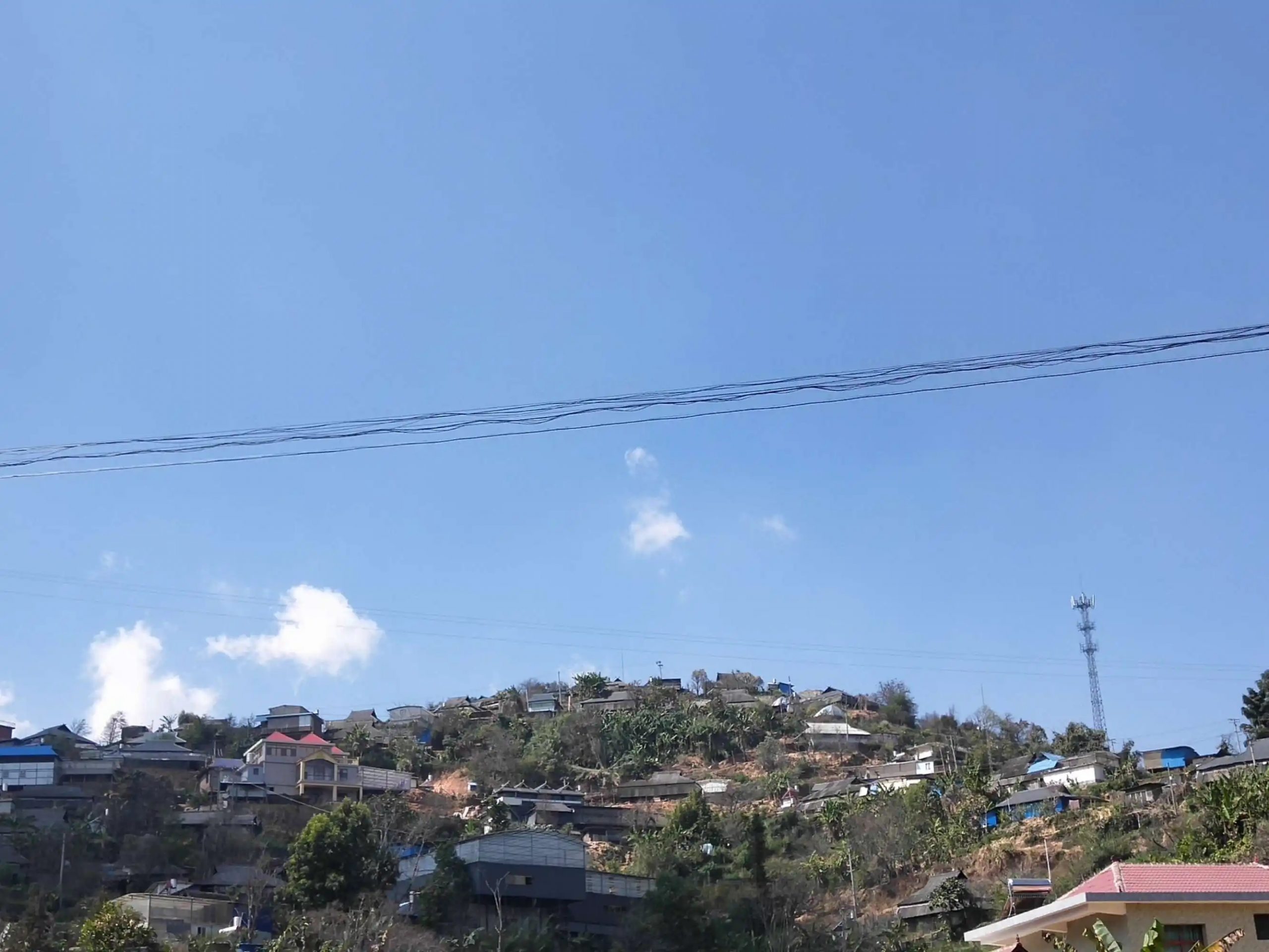 2023帕沙古樹春茶特點是什么？