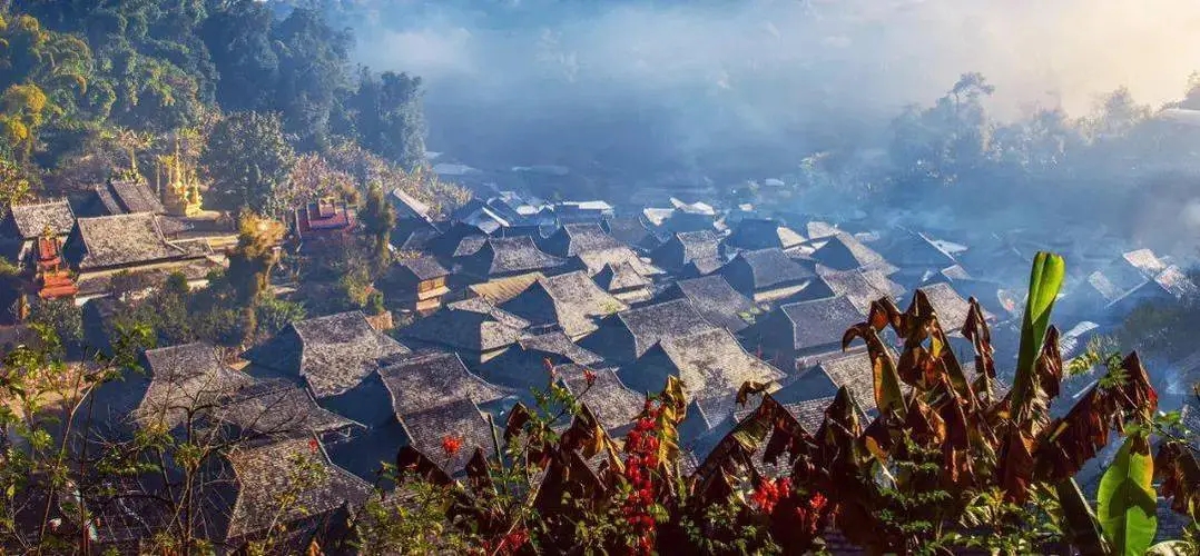 2023年景邁古樹春茶品質(zhì)如何？